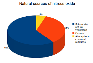 Soils under natural vegetation are an important source of nitrous oxide, accounting for 60% of all naturally produced emissions. Other natural sources include the oceans (35%) and atmospheric chemical reactions (5%).