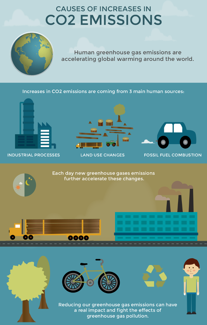 Infographic The causes of increases in CO2 emissions What's Your Impact