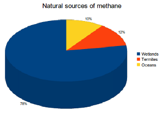 Les zones humides sont une source importante d'émissions de méthane, représentant 78 % de toutes les émissions produites naturellement. Les autres sources naturelles de méthane comprennent les termites (12%) et les océans (10%).