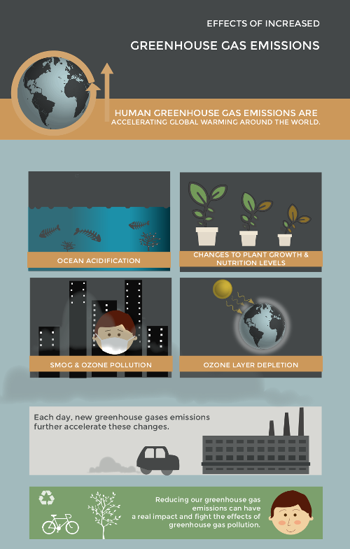 The effects of increased greenhouse gas emissions