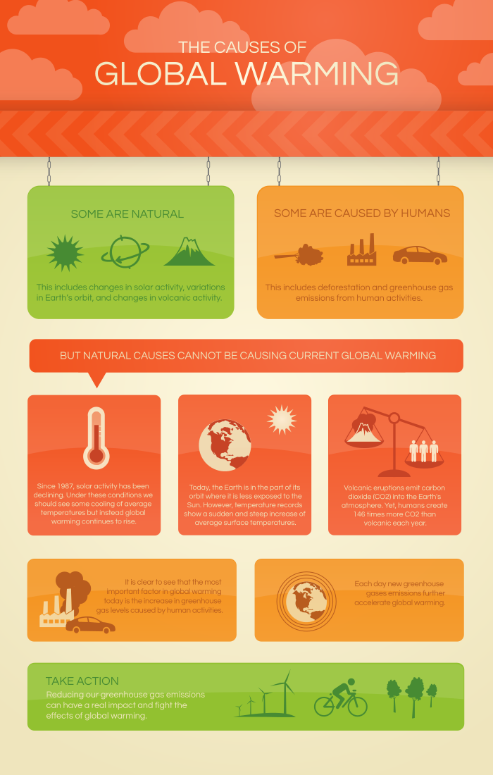 Infographic The Causes Of Global Warming What S Your Impact