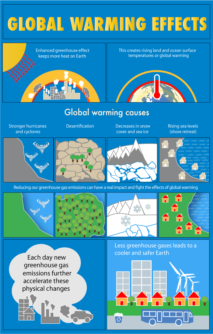 3 causes of global warming