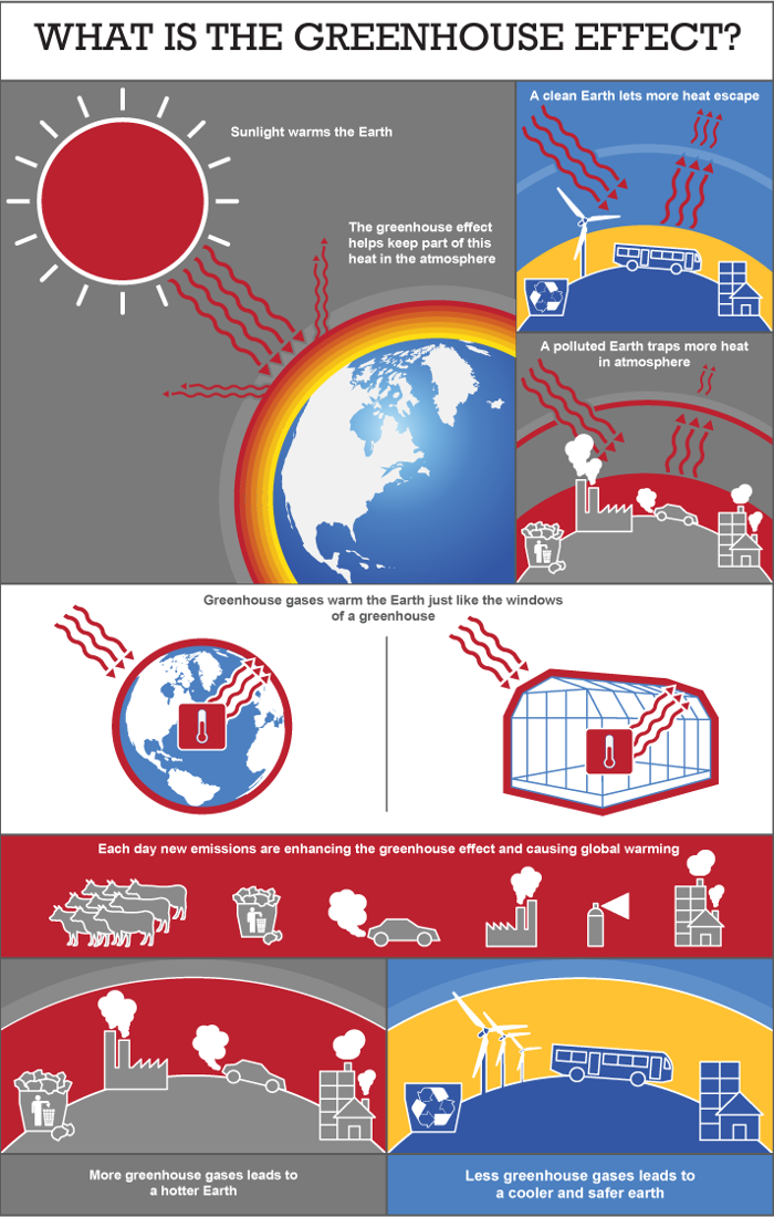 Infographic What Is The Greenhouse Effect What S Your Impact