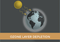 Increased greenhouse gas emissions: Nitrous oxide damages the ozone layer and is now the most important ozone depleting substance and the largest cause of ozone layer depletion.