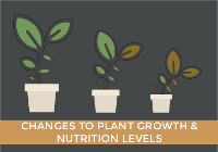 Increased greenhouse gas emissions: Higher levels of carbon dioxide makes carbon more available, but plants also need other nutrients (like nitrogen, phosphorus, etc.) to grow and survive. Without increases in those nutrients as well, the nutritional quality of many plants will decrease.